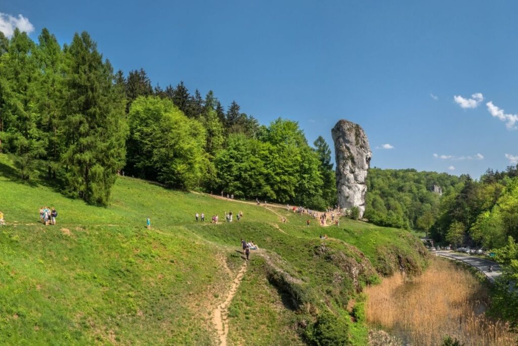 parc ojcow